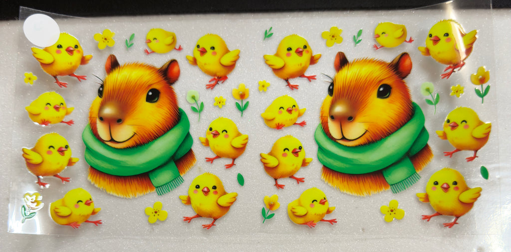 Animals