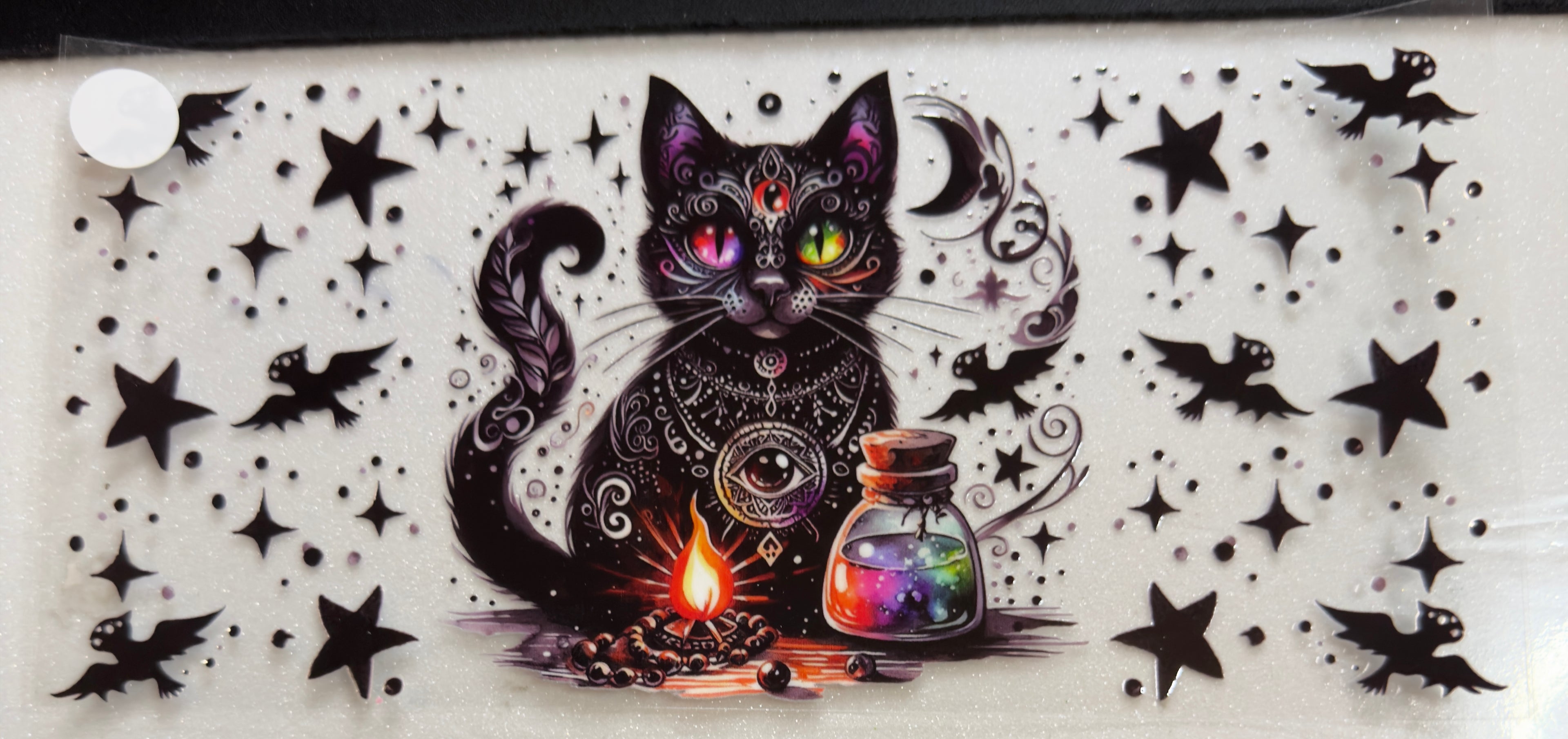 Cats