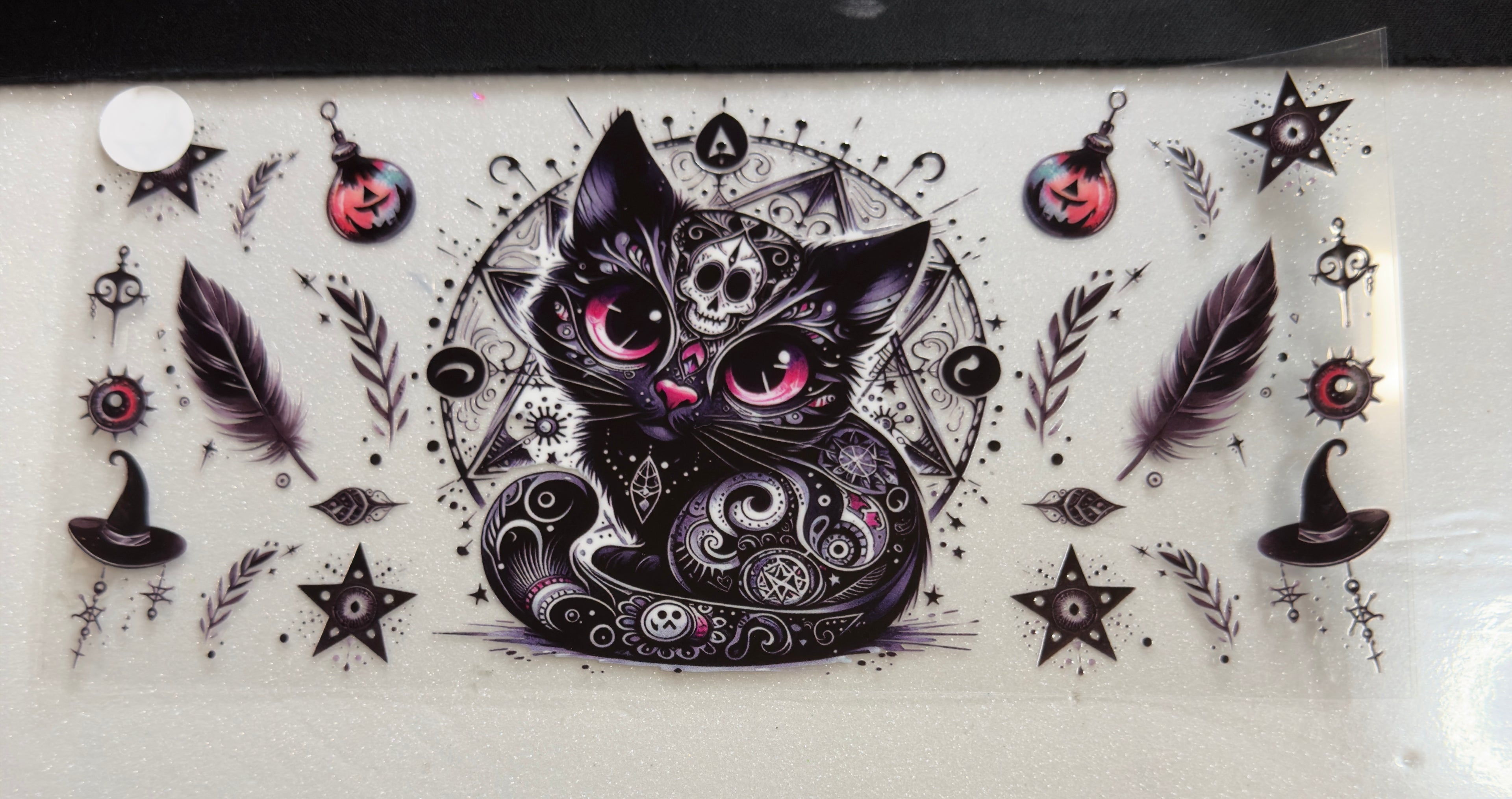 Cats
