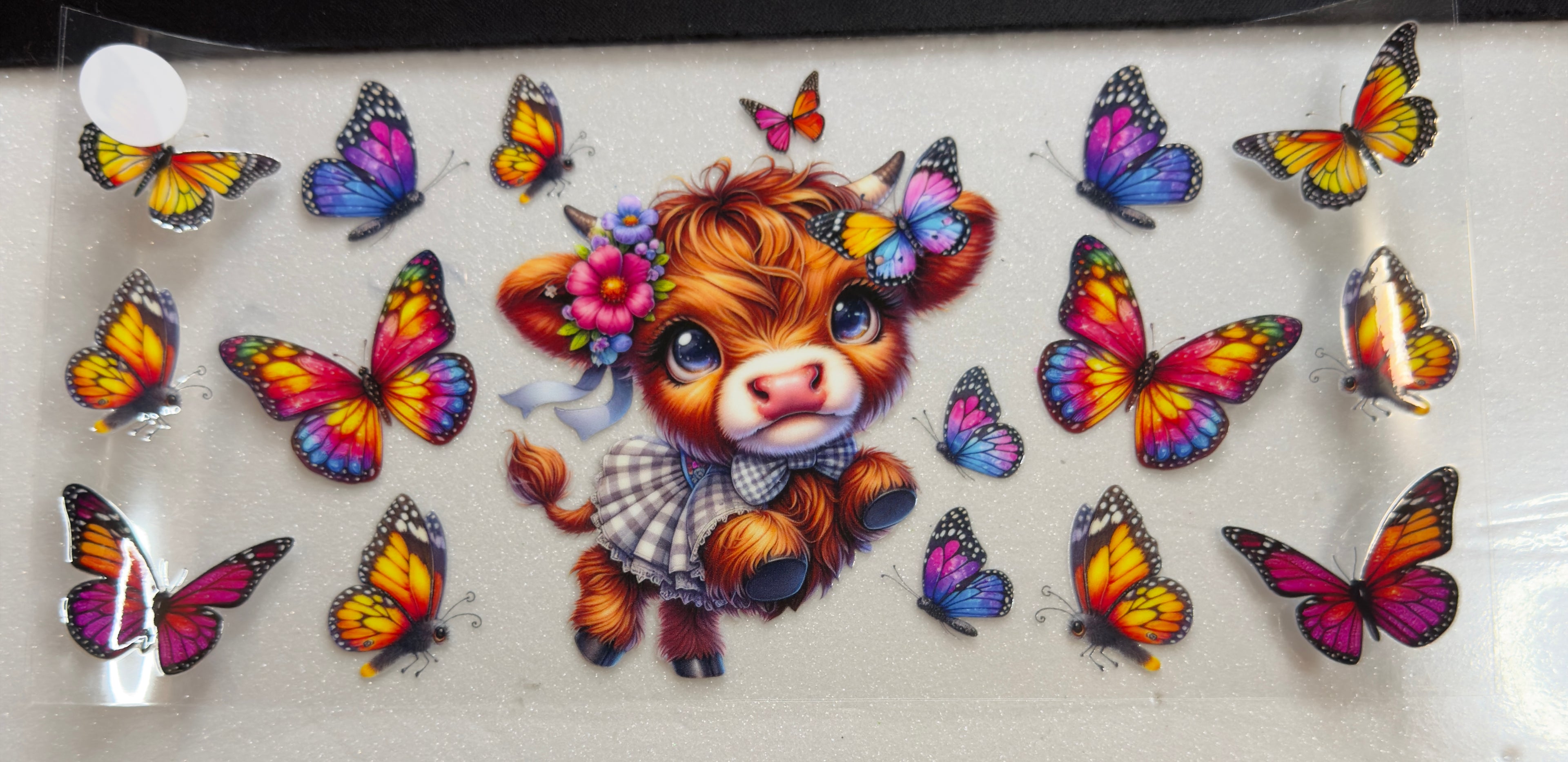 Cows
