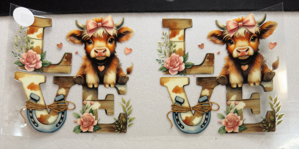 Cows