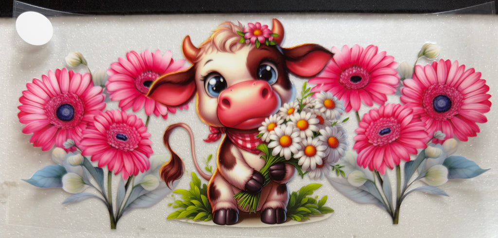 Cows