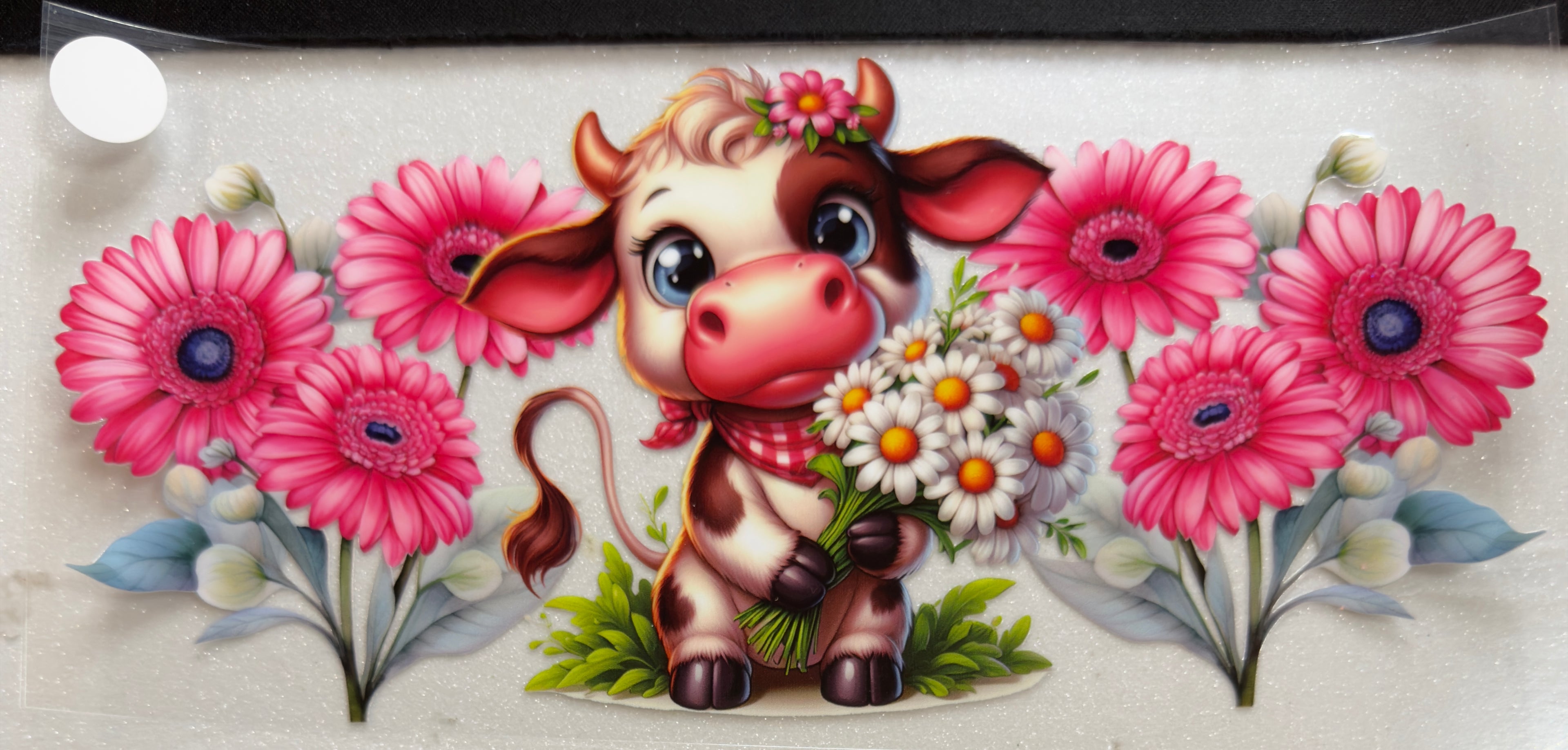 Cows