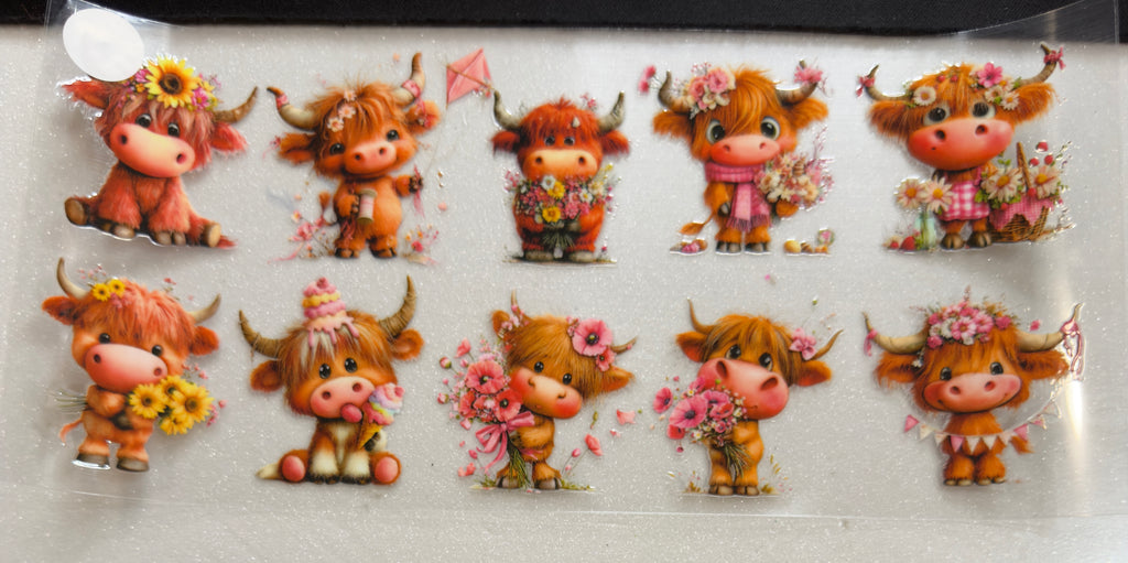 Cows