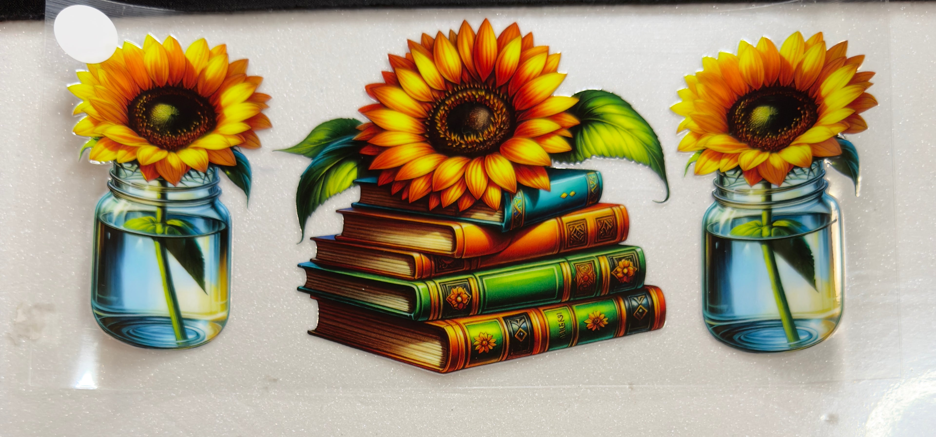 Teacher and Books