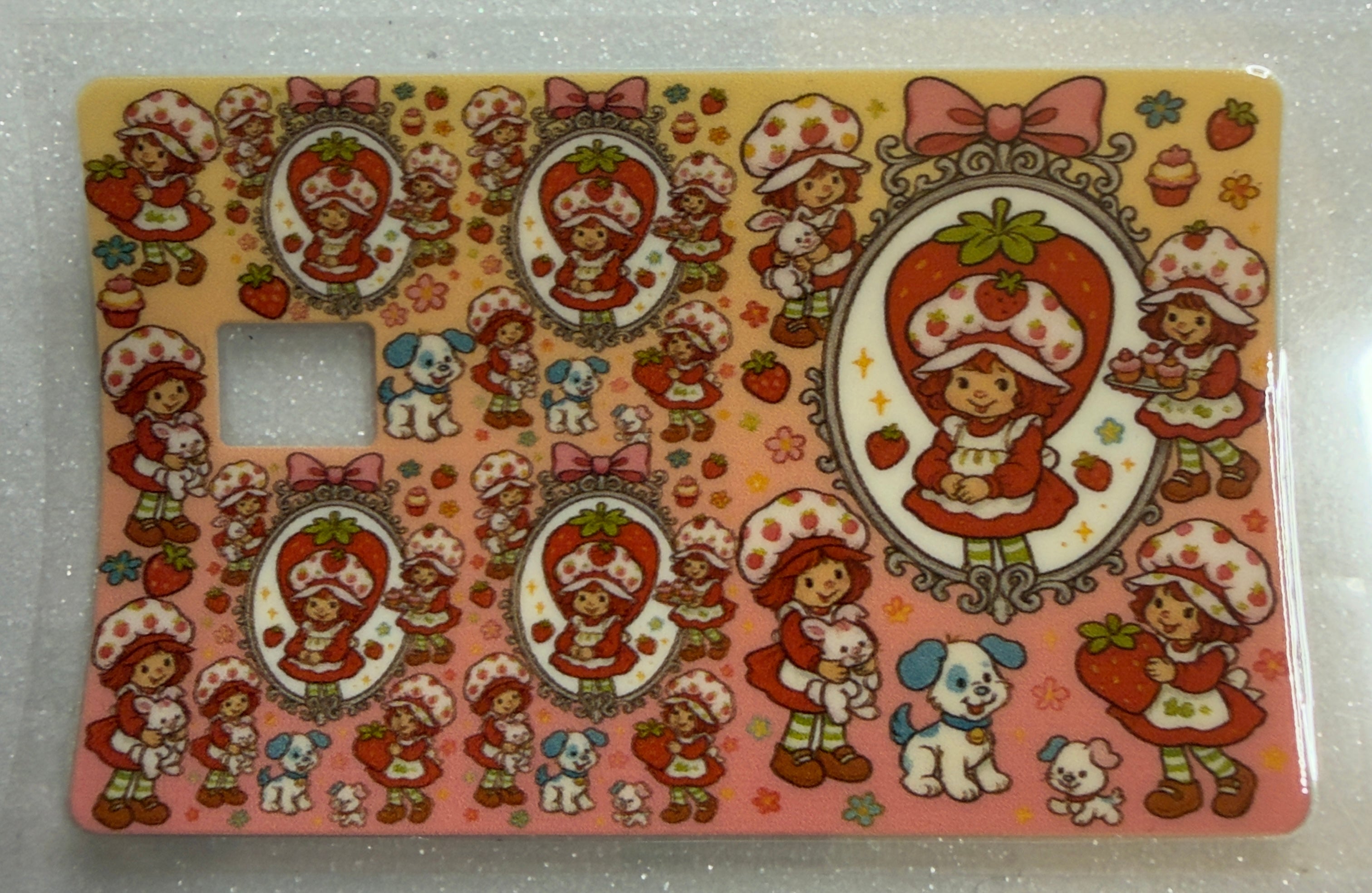 Credit Card Covers