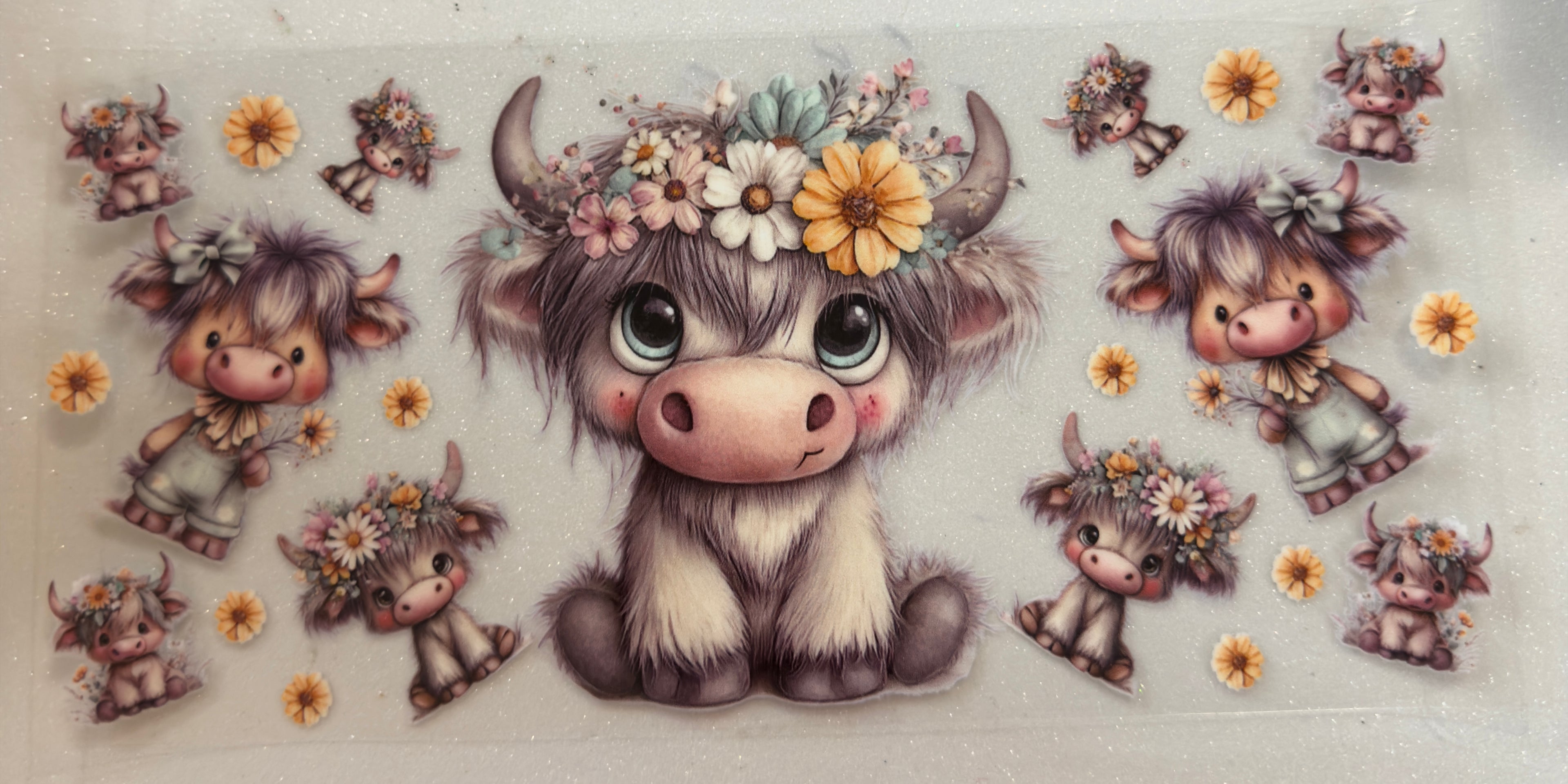 Cows