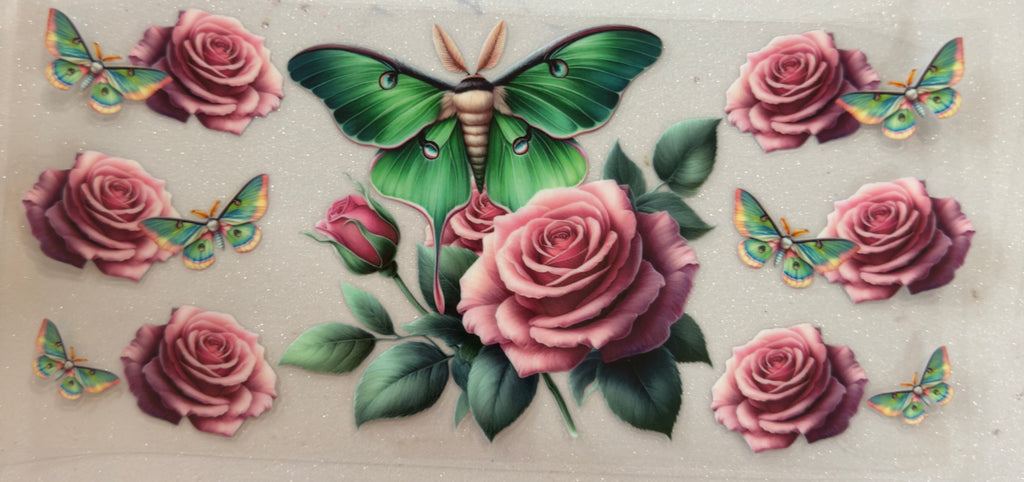 Moth