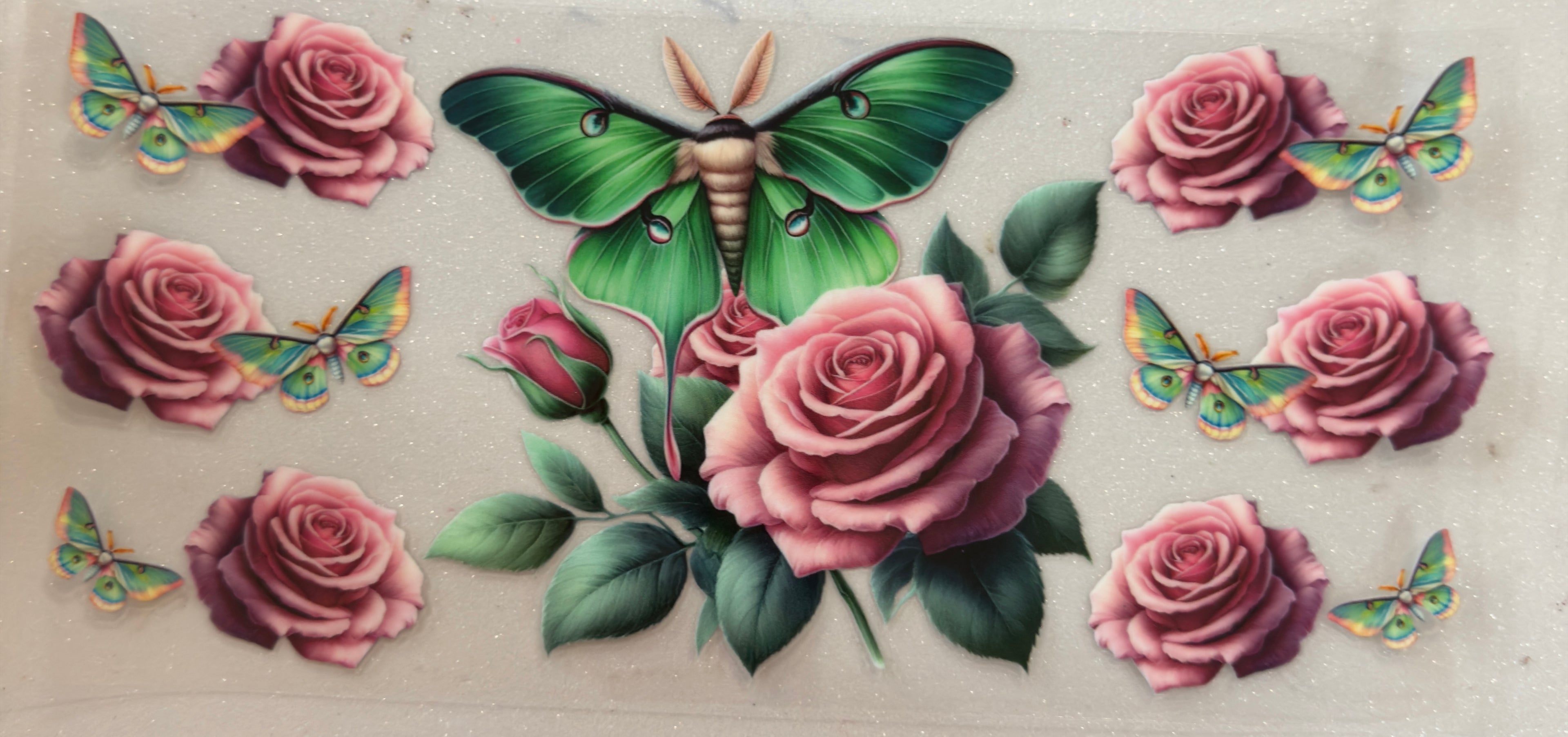 Moth