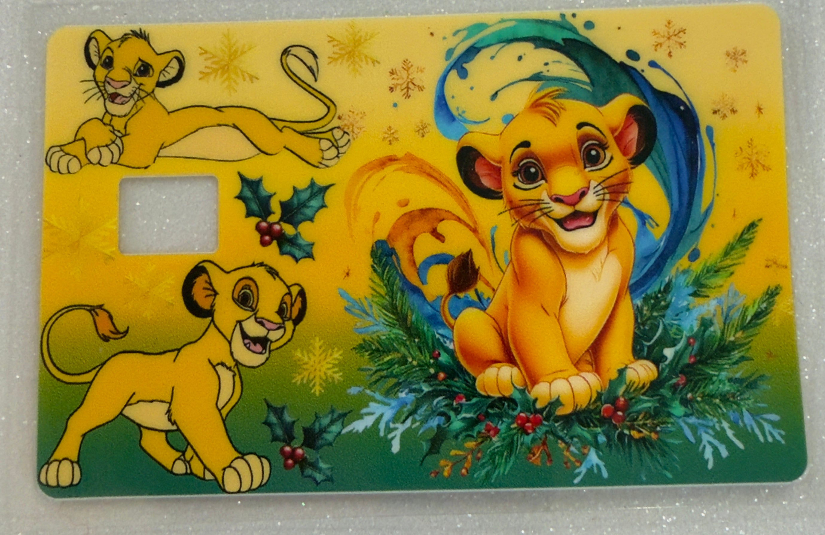 Credit Card Covers