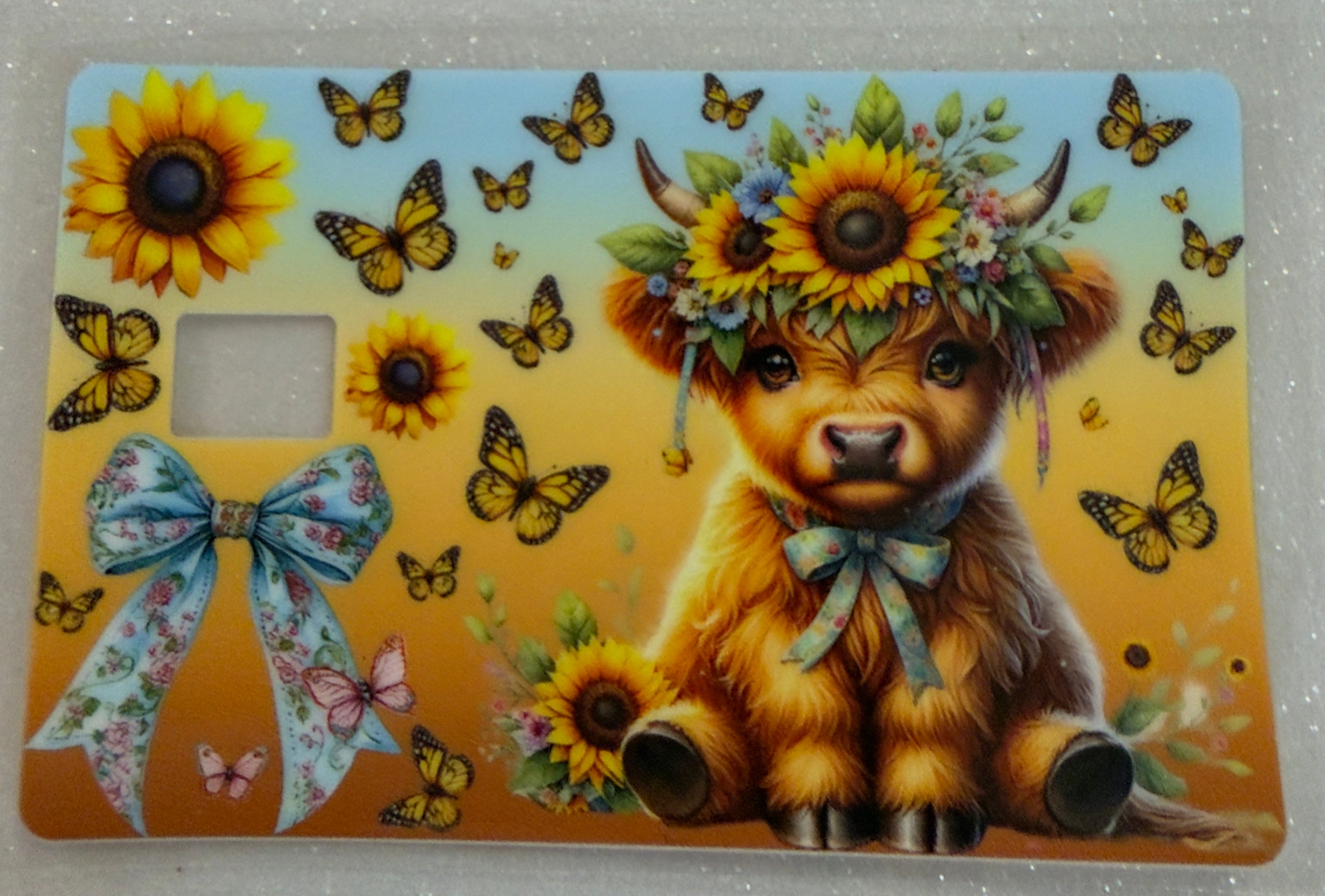 Credit Card Covers