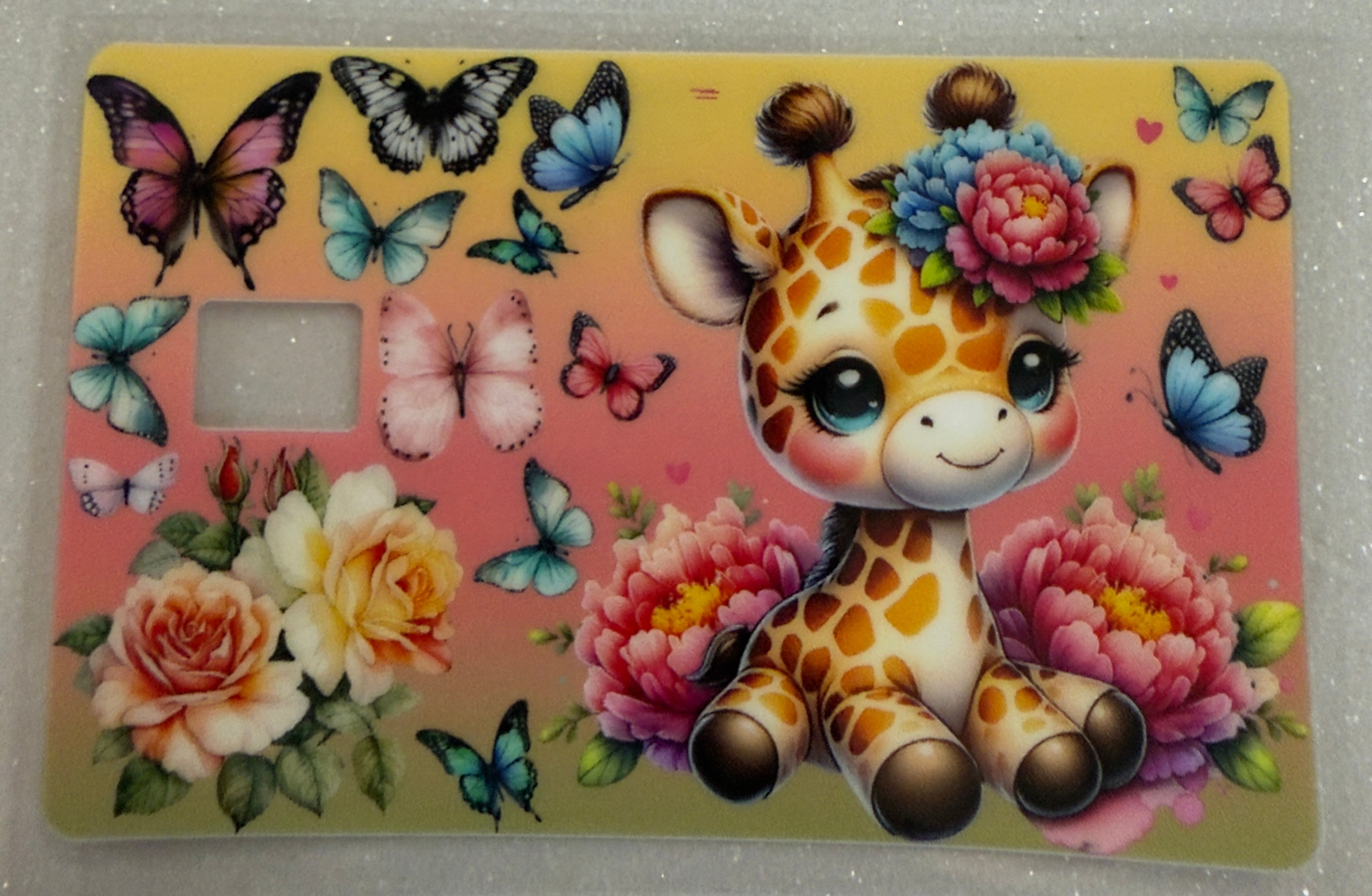 Credit Card Covers