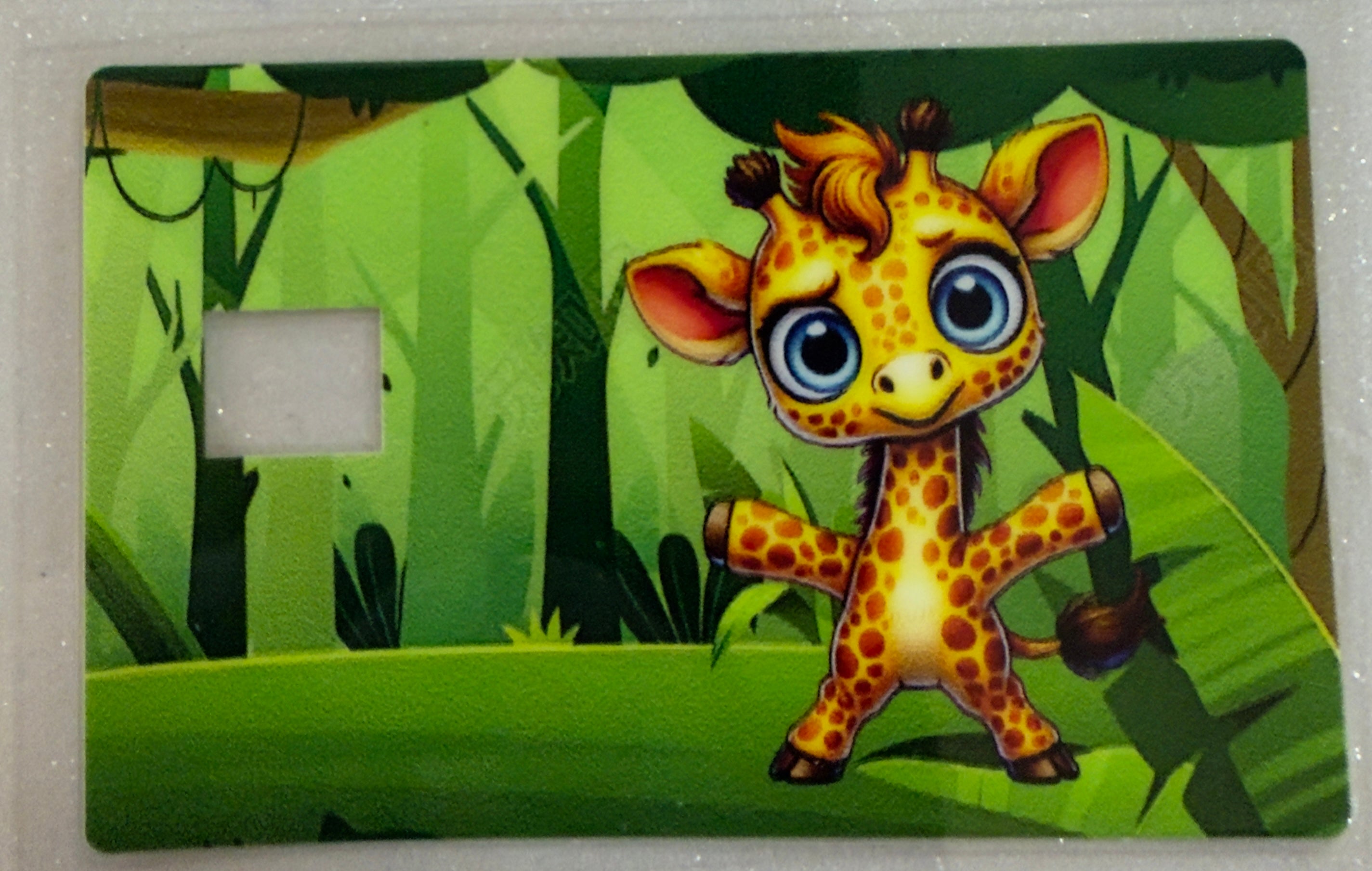 Credit Card Covers