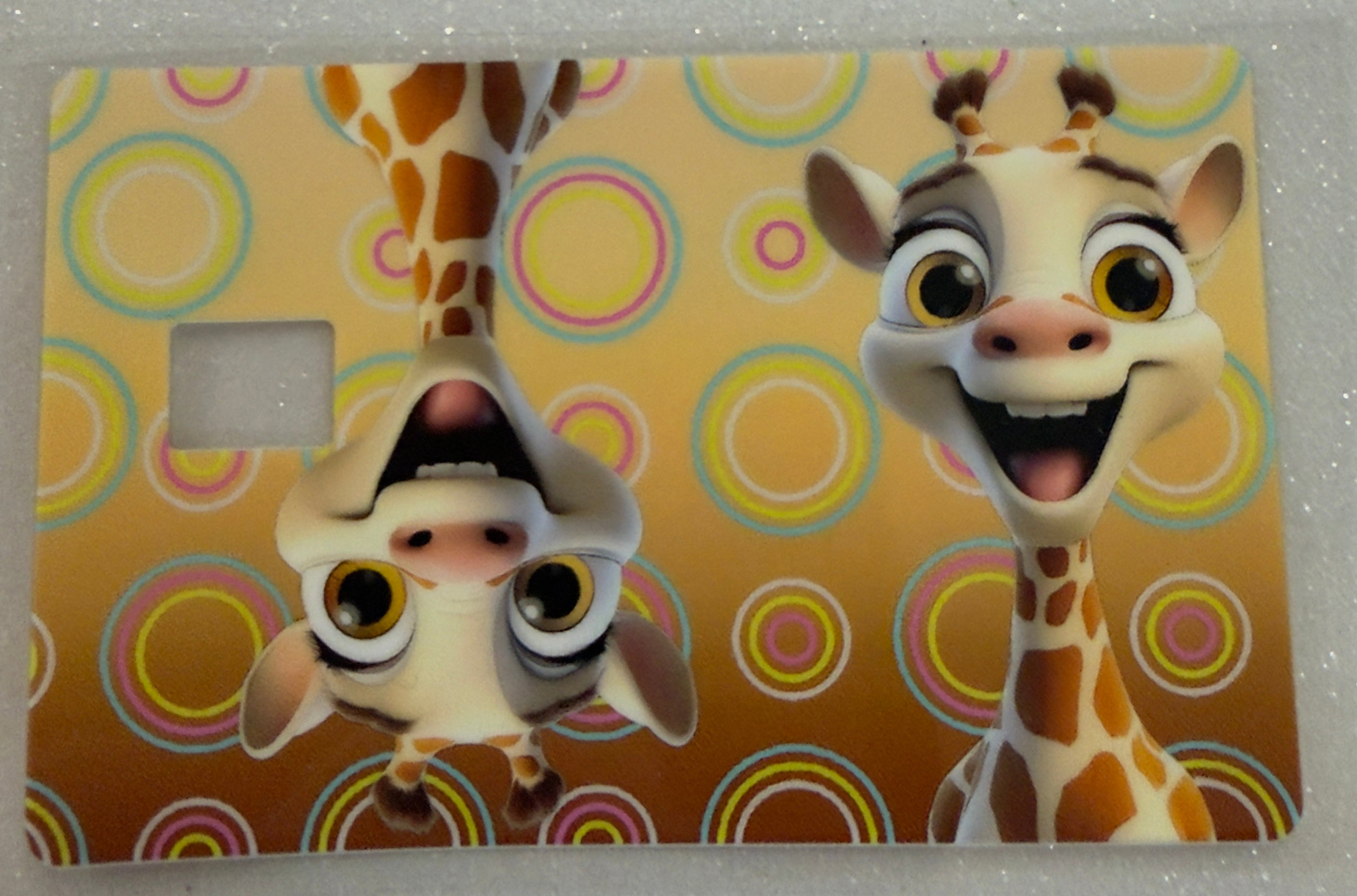 Credit Card Covers