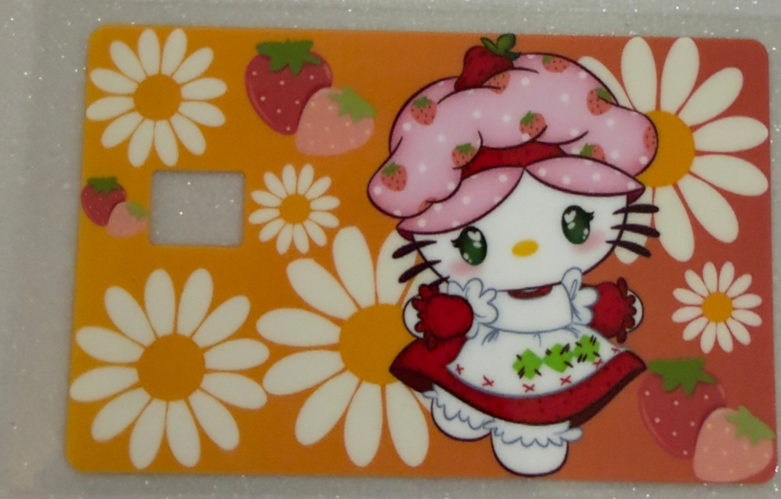 Credit Card Covers