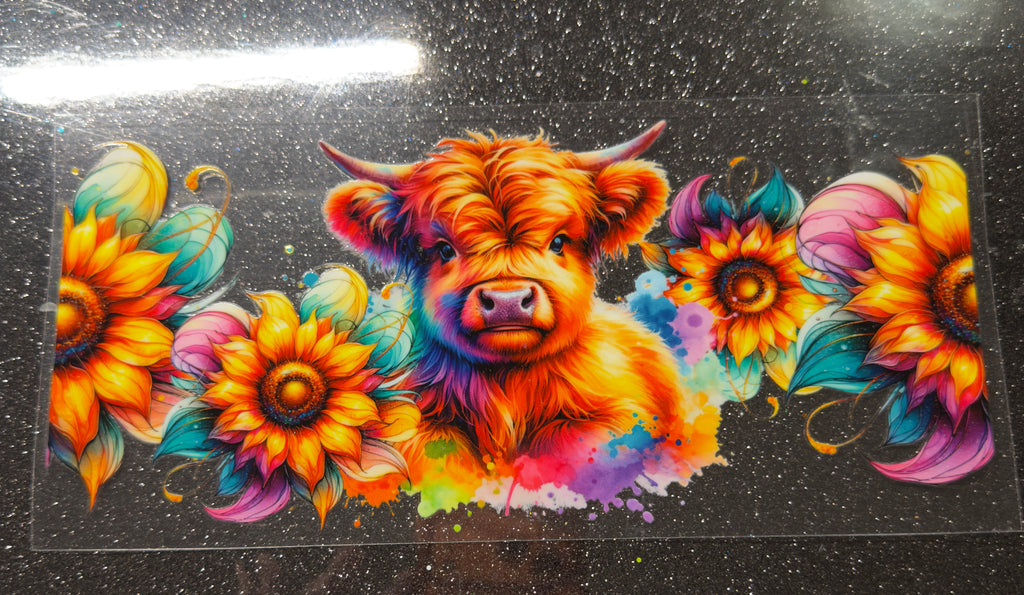 Cows