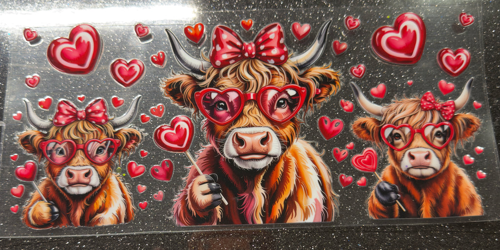 Cows