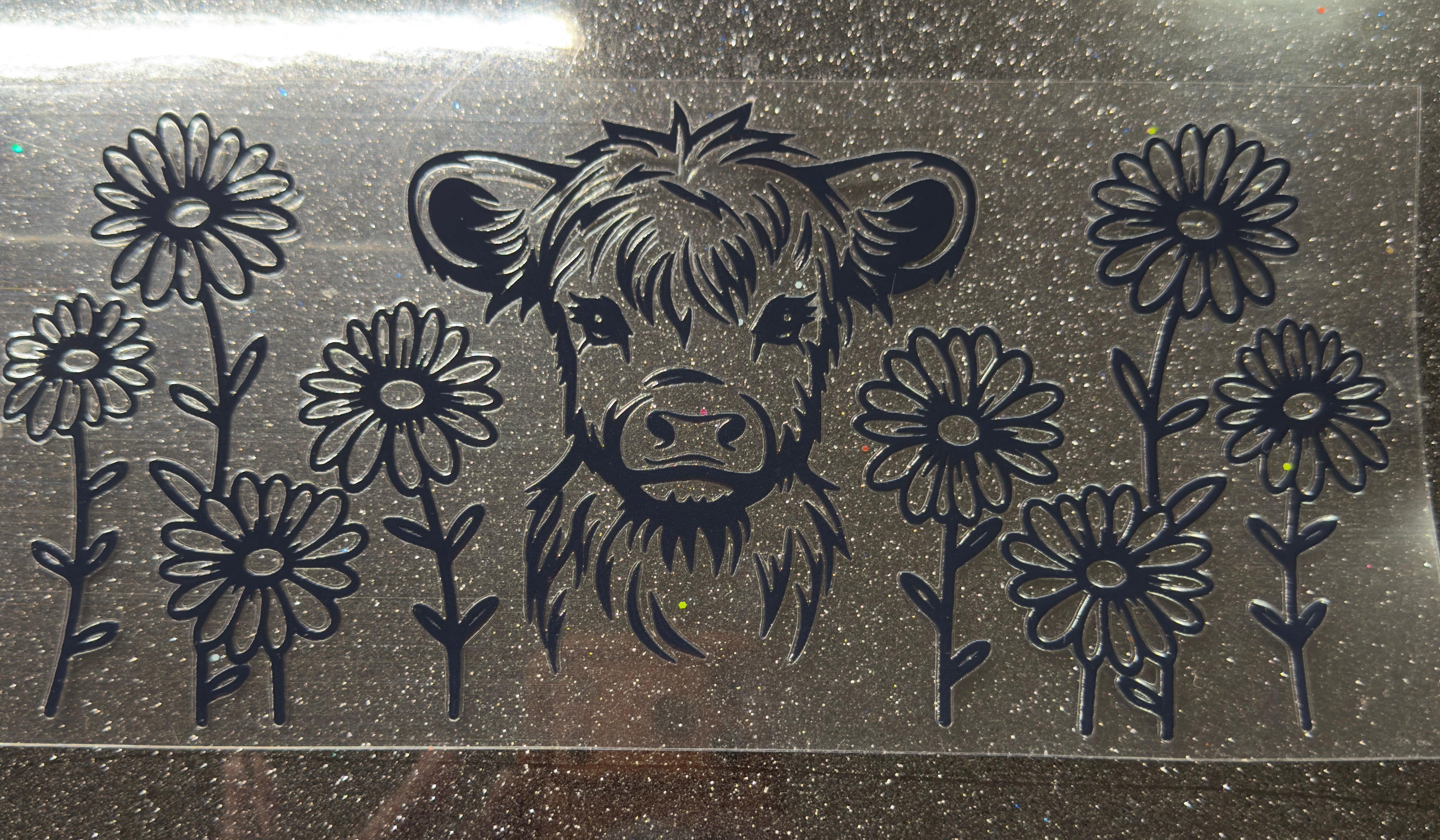 Cows