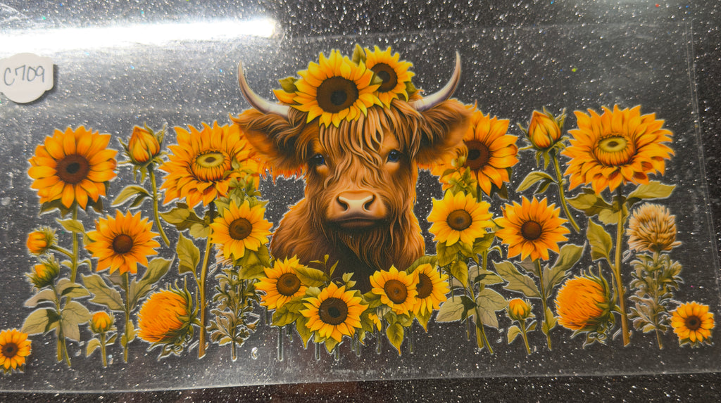 Cows