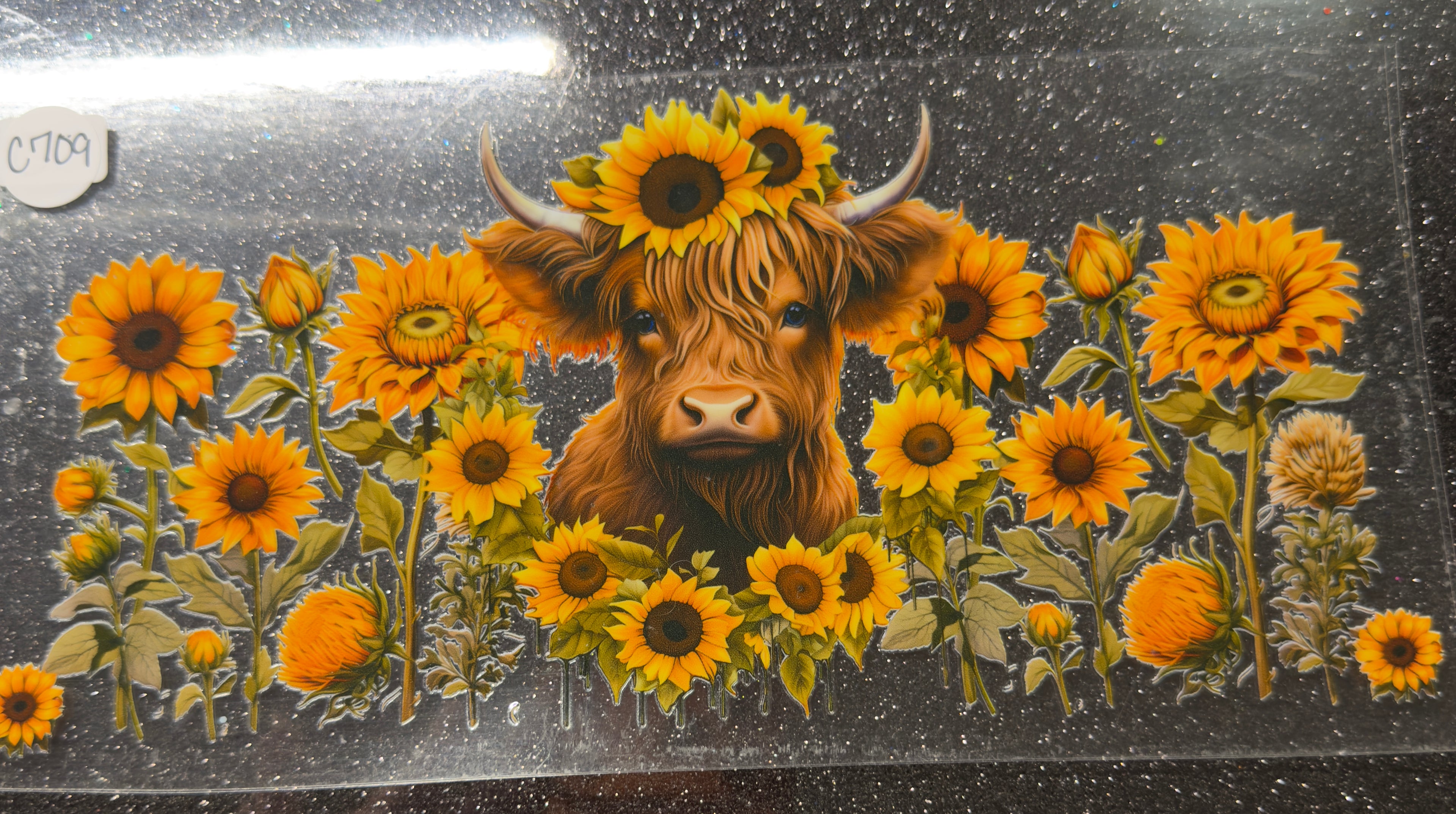 Cows